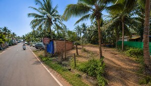 Plot Area in  Plot at Colamb – for Sale