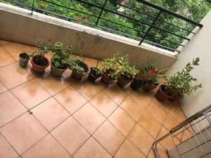 2 BHK Apartment For Sale in Kumar Paradise Pune, Magarpatta City