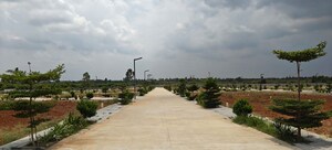 Plot Area in  Plot at Srinivaspur – for Sale