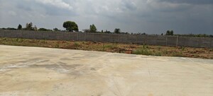 Plot Area in  Plot at Srinivaspur – for Sale