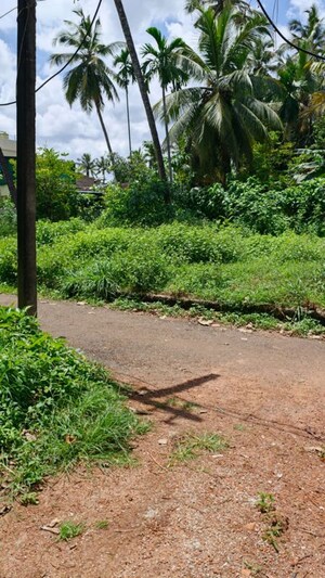 Plot Area in  Plot at Chelakottukara – for Sale