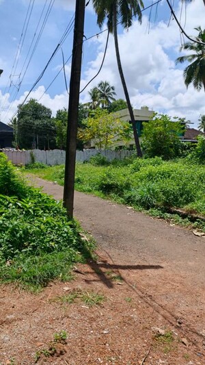 Plot Area in  Plot at Chelakottukara – for Sale