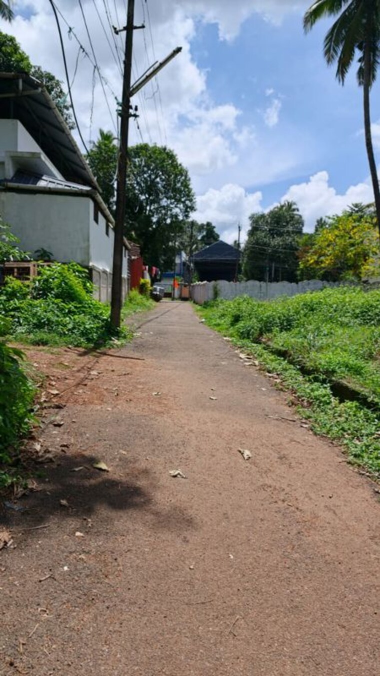 undefined, chelakottukara  3920 Sq.Ft. Plot In Chelakottukara Thrissur 10648643