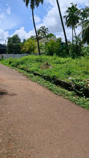 Plot Area in  Plot at Chelakottukara – for Sale