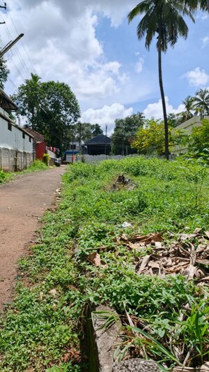  Plot – Garden View at Chelakottukara - for Sale