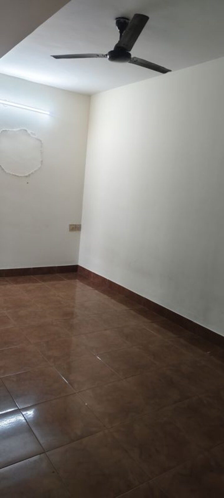 Room, nanja reddy colony 1 Bedroom 650 Sq.Ft. Builder Floor In Nanja Reddy Colony Bangalore 10648877