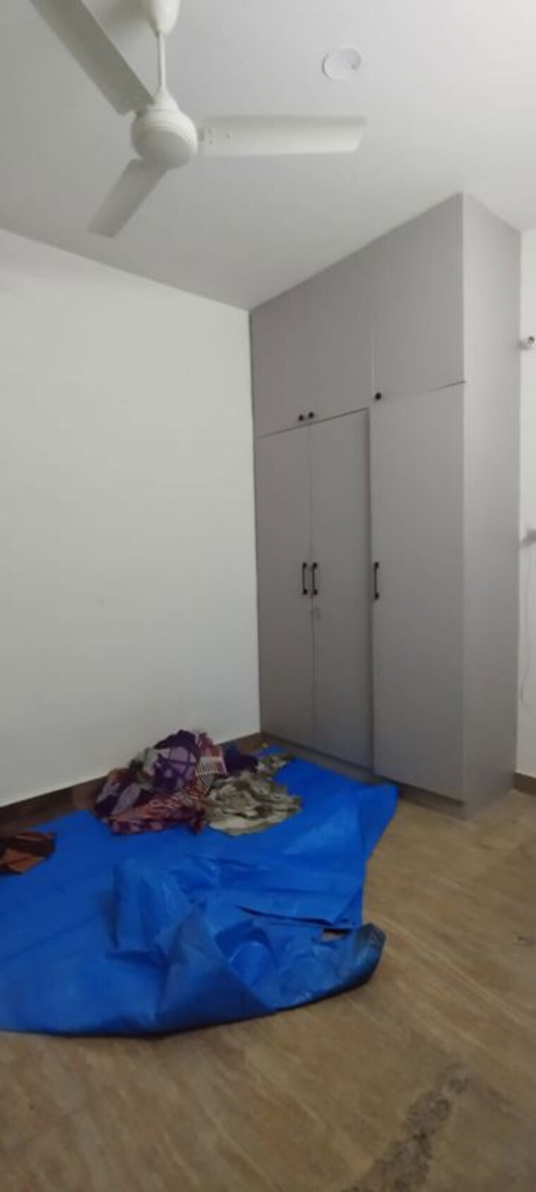 Room, hsr layout 5th sector 1 Bedroom 600 Sq.Ft. Builder Floor In Hsr Layout 5th Sector Bangalore 10648865