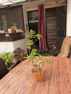 1 RK Builder Floor For Rent in Greater Kailash I