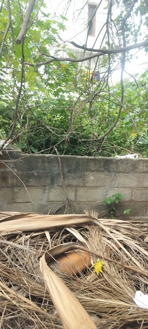 Plot Area in  Plot at Vishweshwaraiah Layout – for Sale