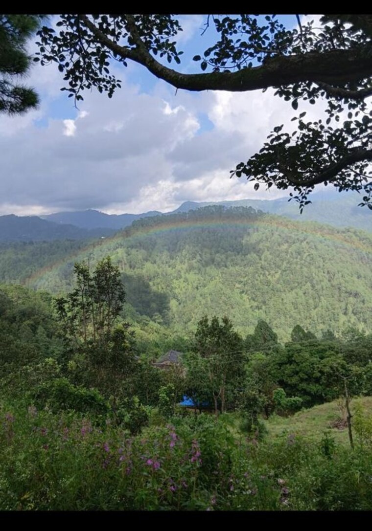 undefined, lansdowne  240 Sq.Ft. Plot In Lansdowne PauriGarhwal 10649016