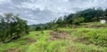 150 Sq.Ft. Plot in Lansdowne