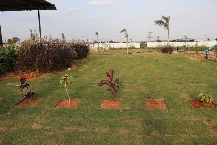 Garden, eeshanya-heights  201 Sq.Ft. Plot In Shadnagar Hyderabad 10649152