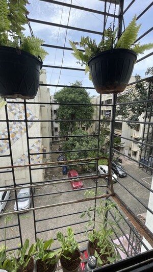  Pg – Exterior View View at Evershine Nagar - for Rent