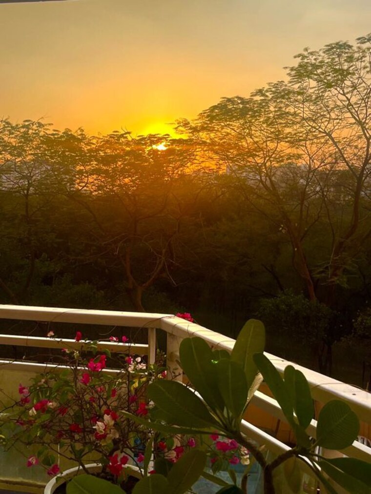 Garden, dlf-park-place 3 Bedroom 2329 Sq.Ft. Apartment In Sector 54 Gurgaon 10649305