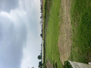  Plot – Garden View at Newstone Coral Park, Sector 84a - for Sale