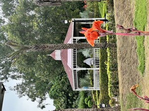  Plot – Exterior View View at Newstone Coral Park, Sector 84a - for Sale