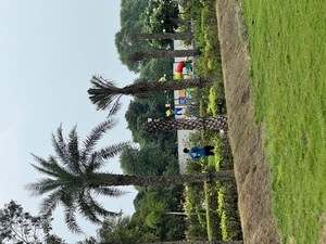  Plot – Garden View at Newstone Coral Park, Sector 84a - for Sale