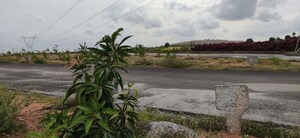  Plot – Garden View at Siyora Spring Fields, Bibinagar - for Sale