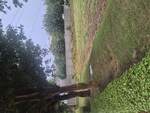250 Sq.Yd. Plot in Parklands