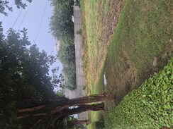 Plot For Sale in Parklands