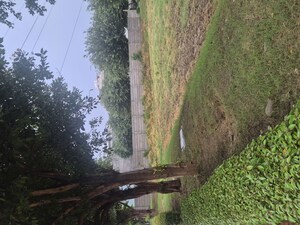  Plot For Sale in Parklands, Sector 85