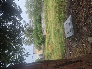  Plot For Sale in BPTP District, Sector 81