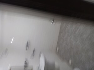 Room in 3 BHK Apartment at Nirala Estate II, Tech Zone 4 Greater Noida – for Rent