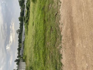  Plot For Sale in Nandigama