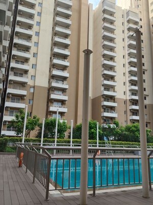 4 BHK Apartment For Rent in Wave Amore, Sector 32