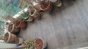 Parking in 2 BHK Apartment at LnT Realty Crescent Bay, Parel – for Rent