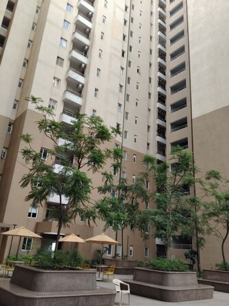 4 BHK +Apartment For Rent in Wave Amore in Sector 32, Noida