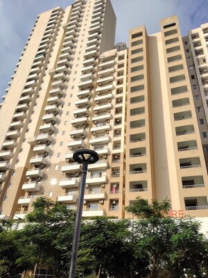 2.5 BHK Apartment For Rent in Wave Amore, Sector 32