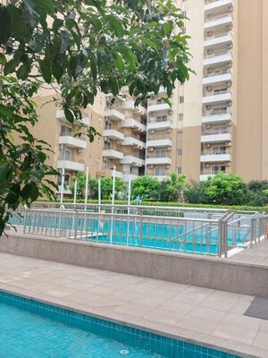 3 BHK Apartment For Rent in Wave Amore, Sector 32