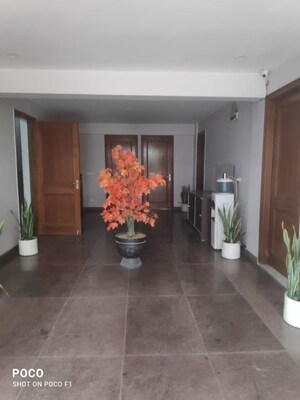Parking in  Pg at Sector 39 – for Rent