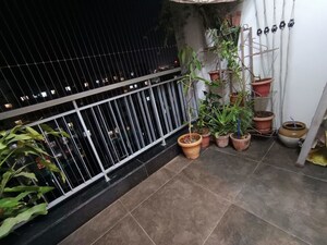 2 BHK Apartment For Rent in Mittal Sun Vista, Anand Nagar
