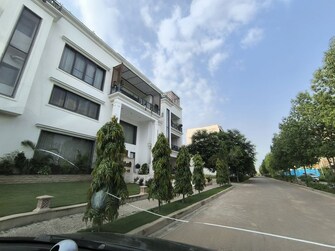 4 BHK +  500 Sq.Yd. Builder Floor in BPTP Amstoria Country Floor