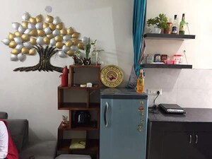 Furnished Amenities in 1 BHK Apartment at AVL 36 Gurgaon, Sector 36 – for Rent