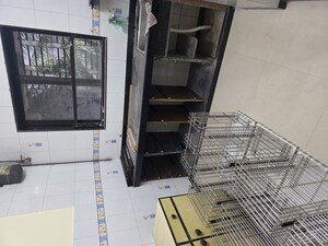 Staircase in 1 BHK Apartment at STC Employees CHS, Andheri East – for Rent