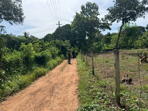 Plot Area in  Plot at Mulagunnathukavu – for Sale