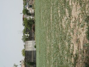  Plot – Exterior View View at Kanwara Village - for Sale