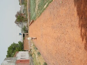  Plot For Sale in Kanwara Village
