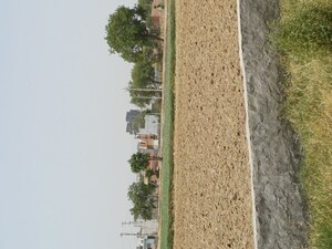   Plot at Kanwara Village – for Sale
