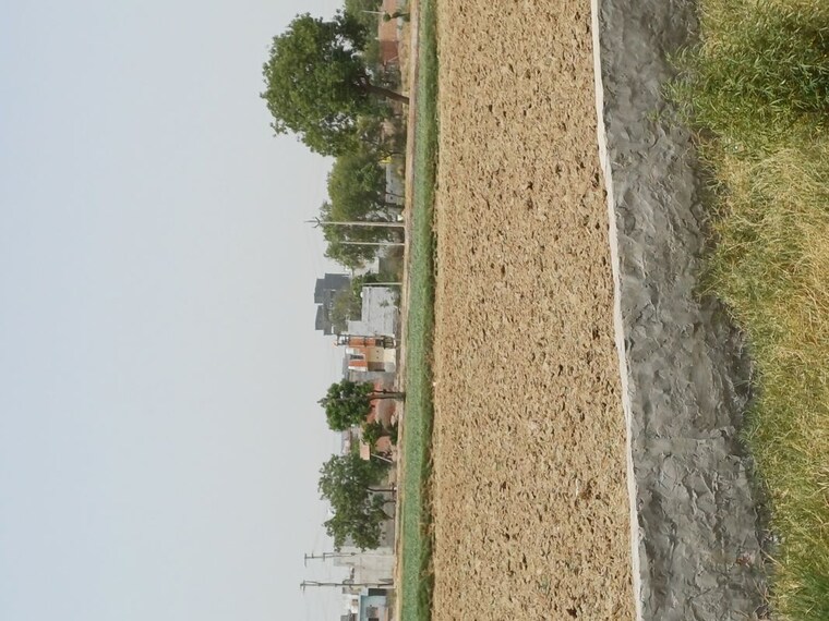 undefined, kanwara village  60 Sq.Yd. Plot In Kanwara Village Faridabad 10651514