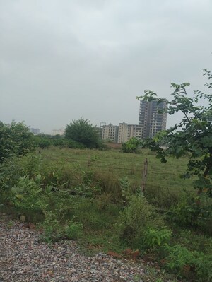  Plot For Sale in Khera Choganpur