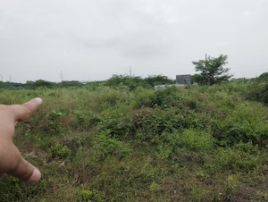 Plot Area in  Plot at Rohini Sector 34 – for Sale