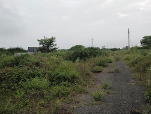  Plot For Sale in Rohini Sector 34