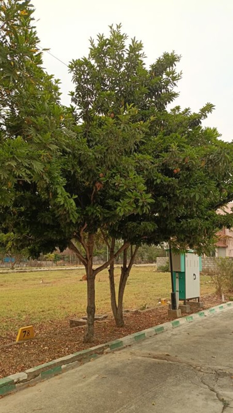 Garden, himagiri-prashanthi  2000 Sq.Ft. Plot In Jigani Bangalore 10652366