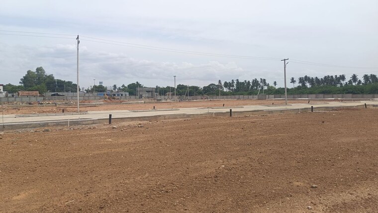 undefined, evergreen nagar  1350 Sq.Ft. Plot In Evergreen Nagar Thanjavur 10652426