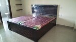 3 BHK 240 Sq.Ft. Builder Floor in Today Princeton Floors
