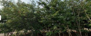  Land For Sale in Ghatkesar